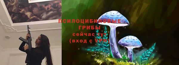 не бодяженный Армянск