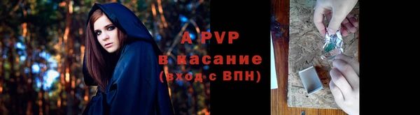 крисы Аркадак