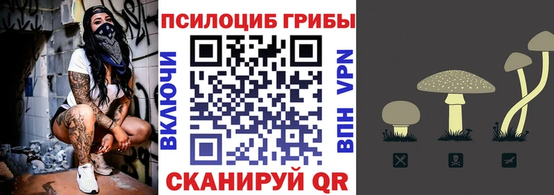 Галлюциногенные грибы Psilocybine cubensis  Пересвет 